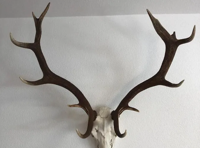 Posthof 33 Διαμέρισμα Κίτσμπουελ