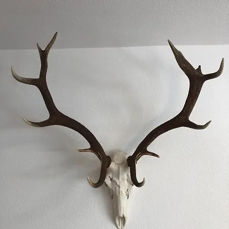 Posthof 33 Apartmán Kitzbühel